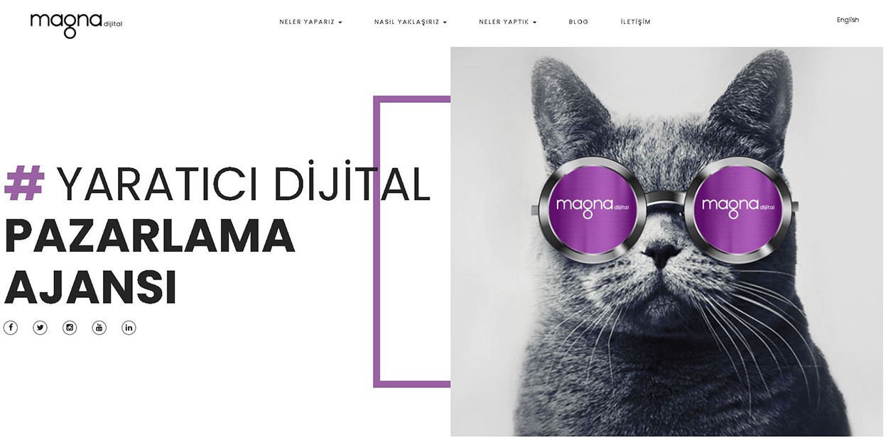 Web Sitesi